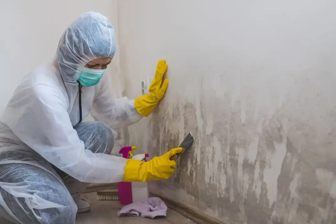 water damage restoration service Martha Lake